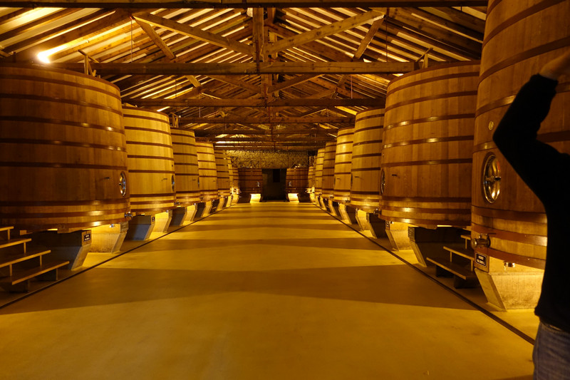 CVNE Alcohol fermentation barrels
