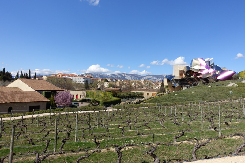 Vineyards, shop, hotel and village in the background
