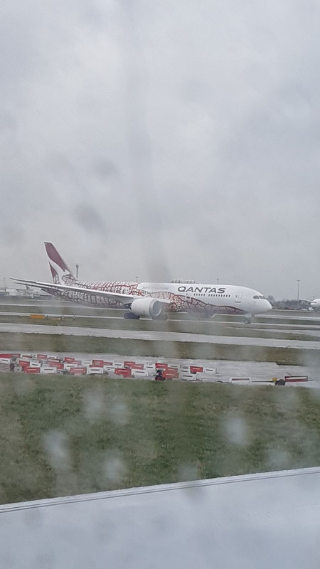 Qantas Dreamliner at LHR, if you can see through the rain!
