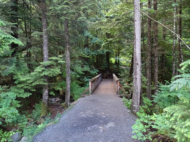 Another trail to Shannon Falls