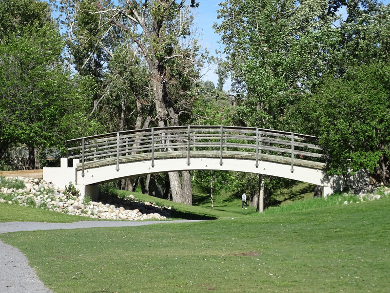 Bridge in the park