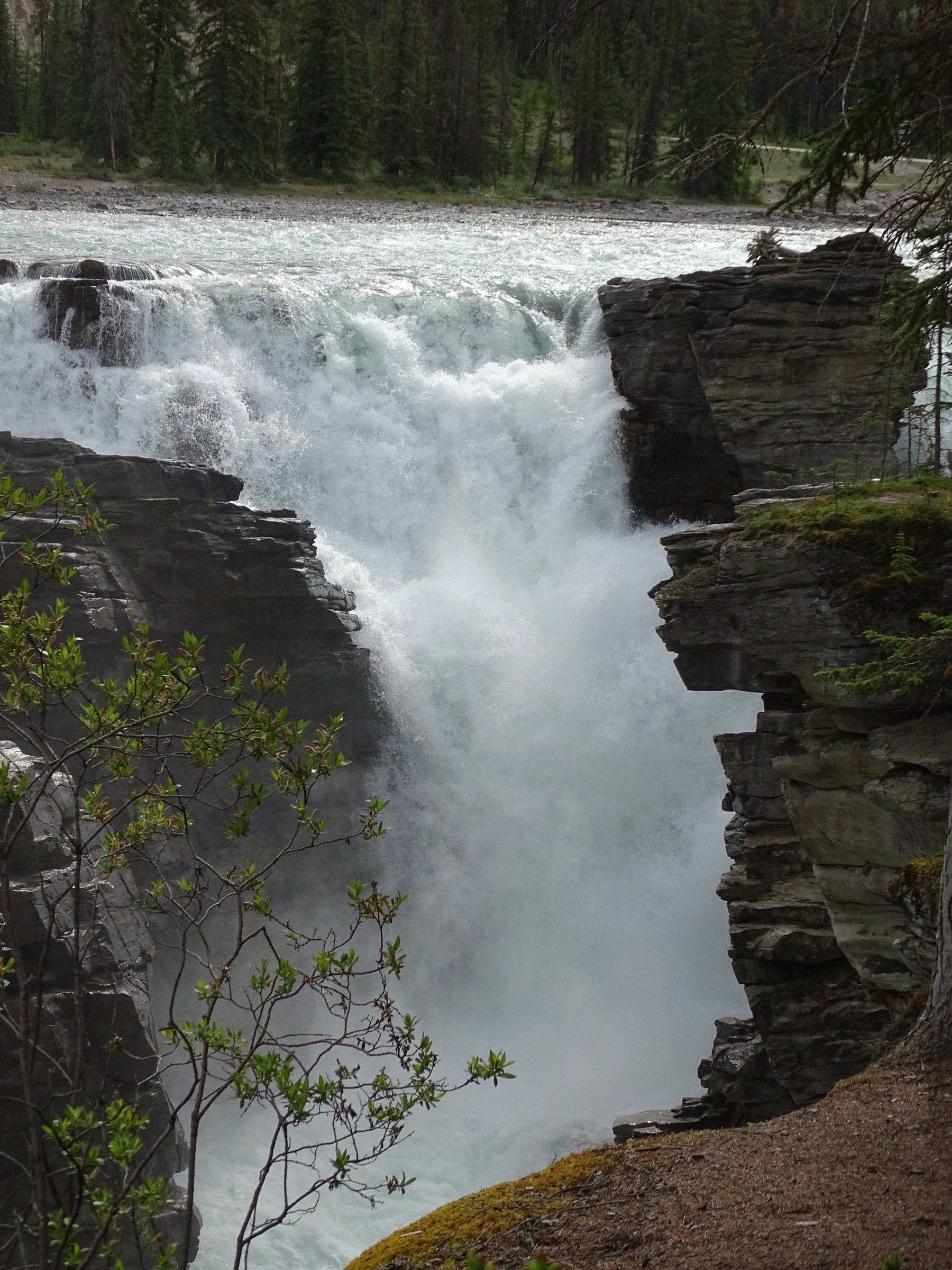 Athabasca Falls | Photo