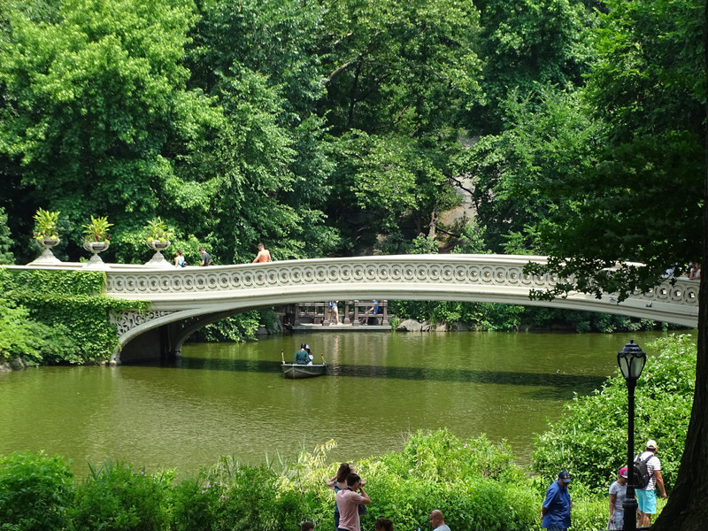 Bridge in central park 
