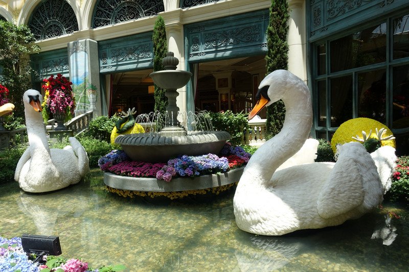 Flower swans (Bellagio)