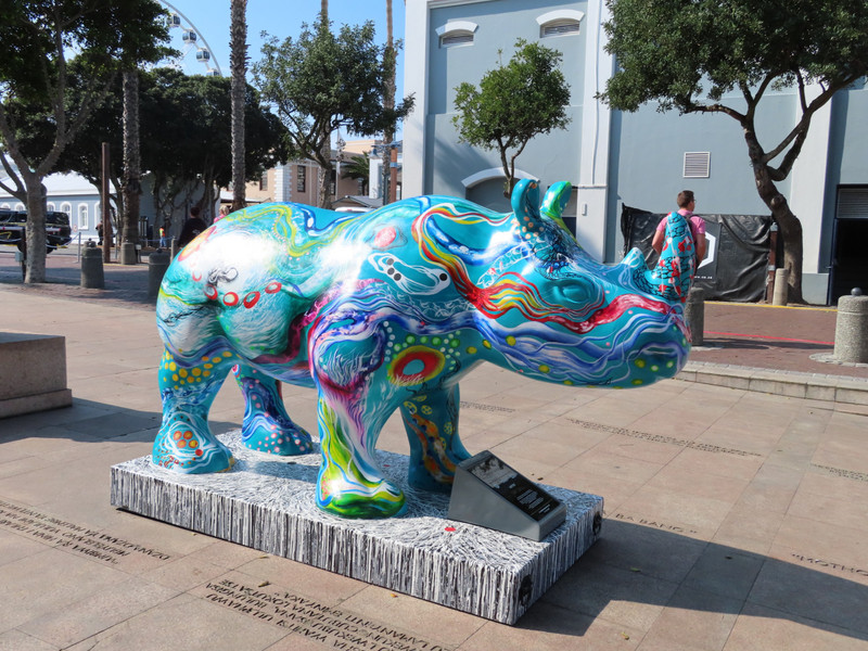Painted Rhino