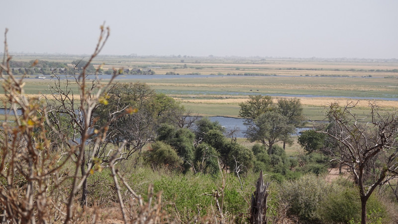 View of Chobe river