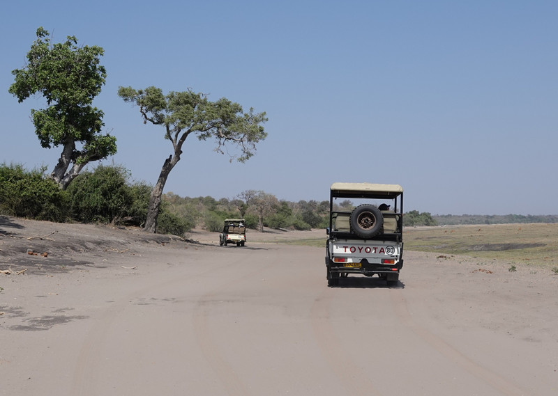 Jeeps driving along the Chobe River bank
