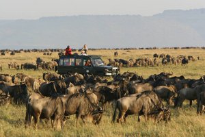 Mara-migration-region