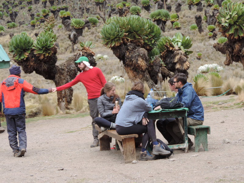 Climbing Mount Kenya, Mountain  Kenya, Trekking Mount Kenya, Hiking Mount Kenya, Kenya Climbing, Hiking Kenya, YHA Kenya Travel, Small Group Adventures, Mount Kenya Routes , Mountain Adventures, Mountaineering, 