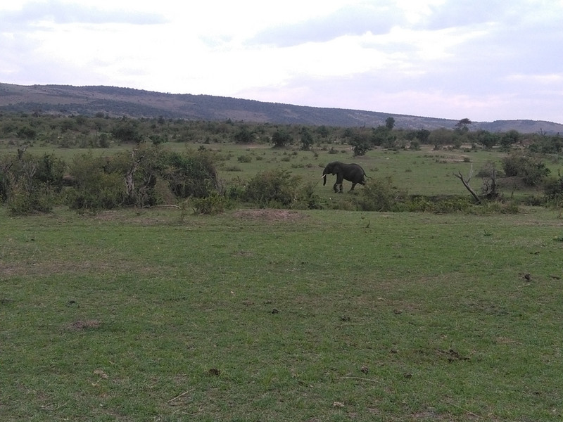 Kenya Tanzania Adventure Budget Camping Safari, YHA Kenya Travel, Tours,Safaris