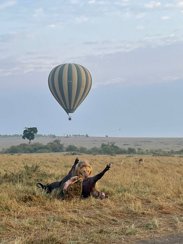 YHA Kenya Travel Active Adventure Epic Tours Safaris, Epic Hot Air Balloon,Epic Adventures Hot Air Balloon in Kenya, Balloon Ride, Balloon Safari, Balloon Safaris, Balloon Safaris in Kenya,Epic Adventures in Kenya, Activit.