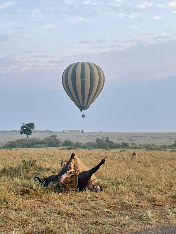 YHA Kenya Travel Active Adventure Epic Tours Safaris, Epic Hot Air Balloon,Epic Adventures Hot Air Balloon in Kenya, Balloon Ride, Balloon Safari, Balloon Safaris, Balloon Safaris in Kenya,Epic Adventures in Kenya, Acti.