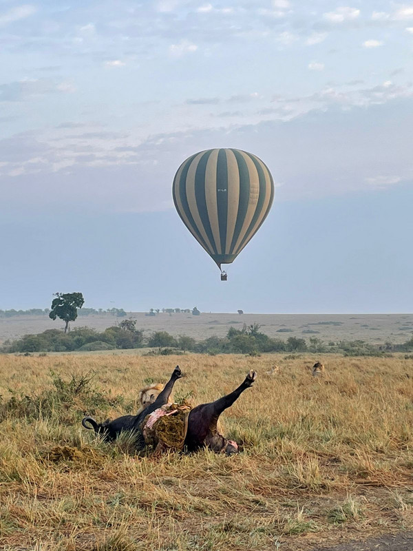 YHA Kenya Travel Active Adventure Epic Tours Safaris, Epic Hot Air Balloon,Epic Adventures Hot Air Balloon in Kenya, Balloon Ride, Balloon Safari, Balloon Safaris, Balloon Safaris in Kenya,Epic Adventures in Kenya, Acti (4).