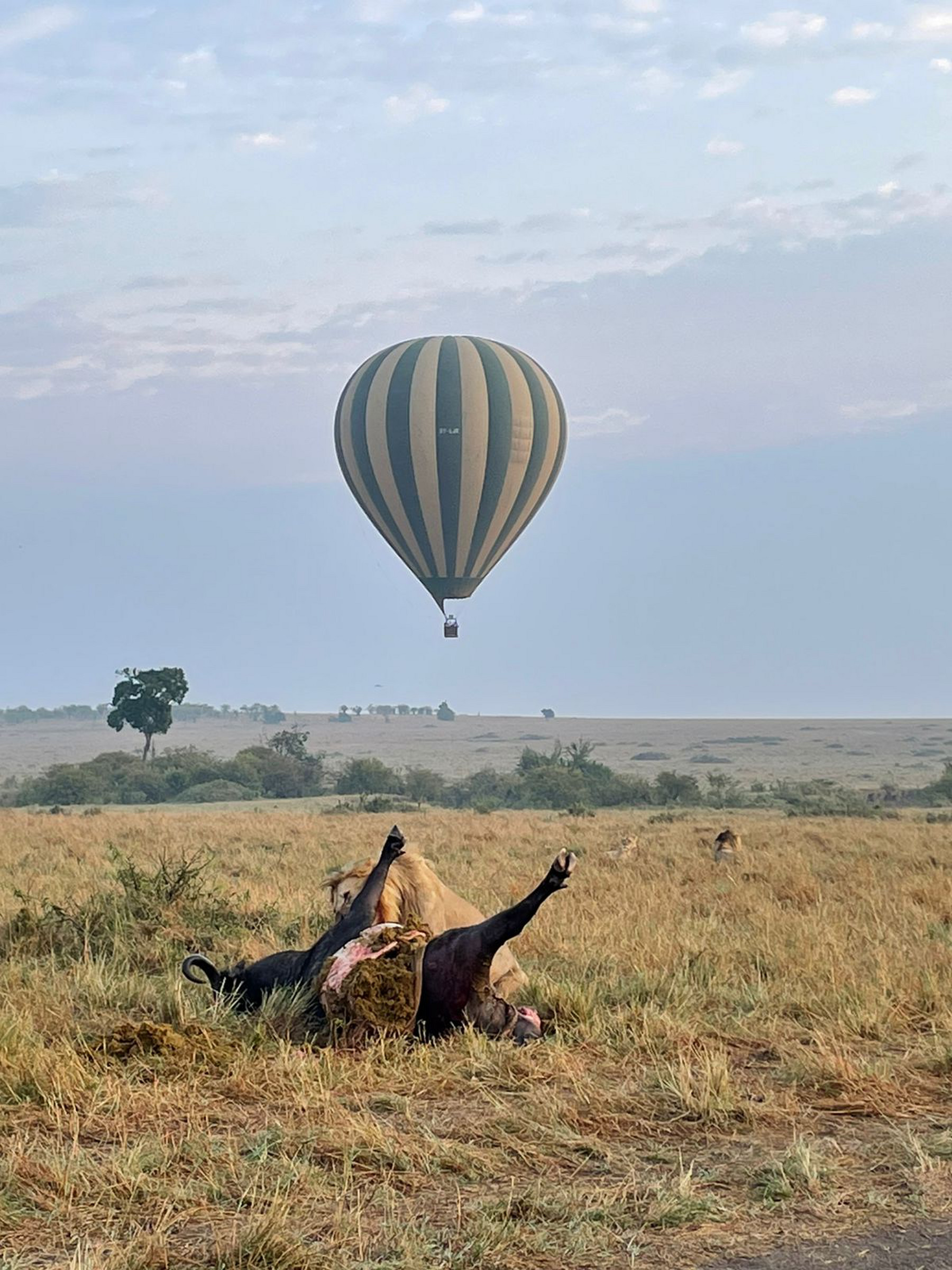 hot air balloon safaris kenya