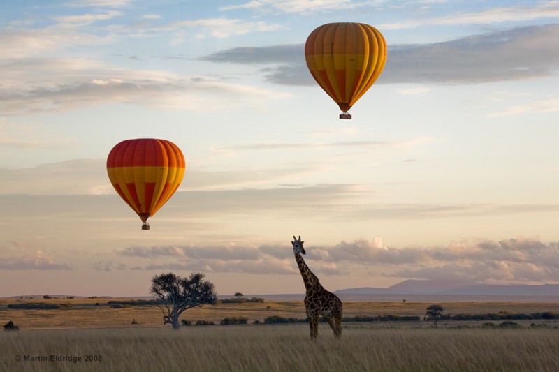YHA Kenya Travel, Hot Air Balloon Safari Masai Mara