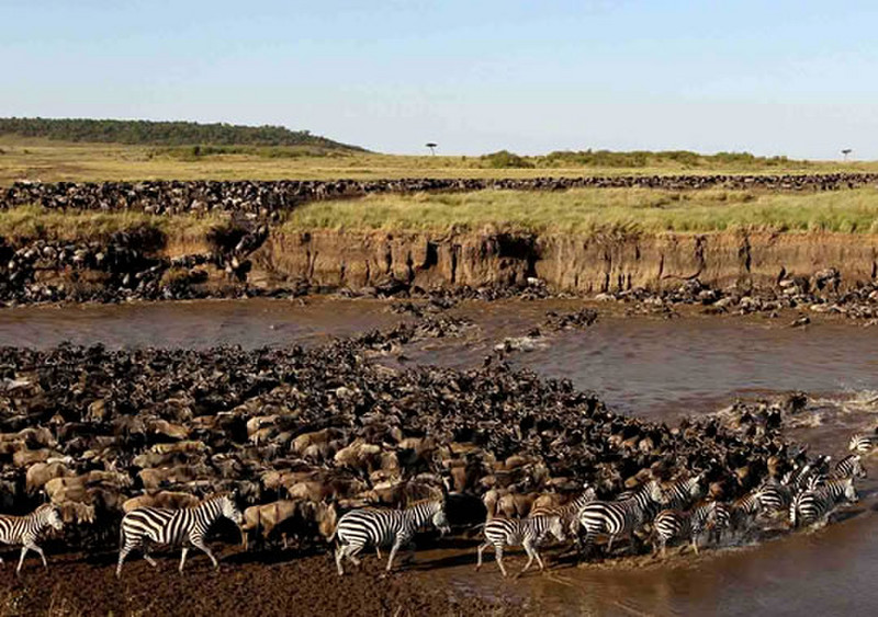 14 Days Kenya Safari - Lake Nakuru, Masai Mara, Lake Naivasha, Amboseli, Tsavo West and Tsavo East