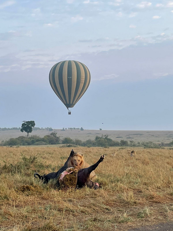 YHA Kenya Travel Active Adventure Epic Tours Safaris, Epic Hot Air Balloon,Epic Adventures Hot Air Balloon in Kenya, Balloon Ride, Balloon Safari, Balloon Safaris, Balloon Safaris in Kenya,Epic Adventures in Kenya, Acti (2).