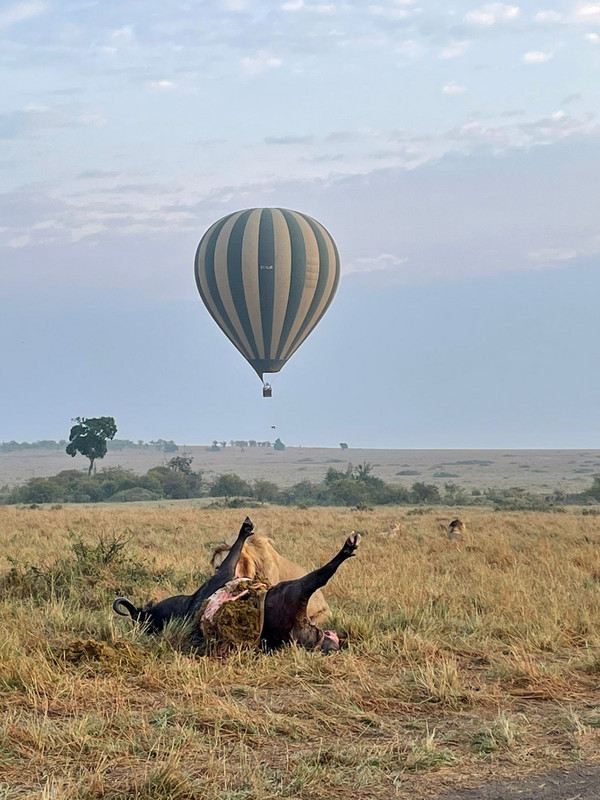 YHA Kenya Travel Active Adventure Epic Tours Safaris, Epic Hot Air Balloon,Epic Adventures Hot Air Balloon in Kenya, Balloon Ride, Balloon Safari, Balloon Safaris, Balloon Safaris in Kenya,Epic Adventures in Kenya, Acti (3).