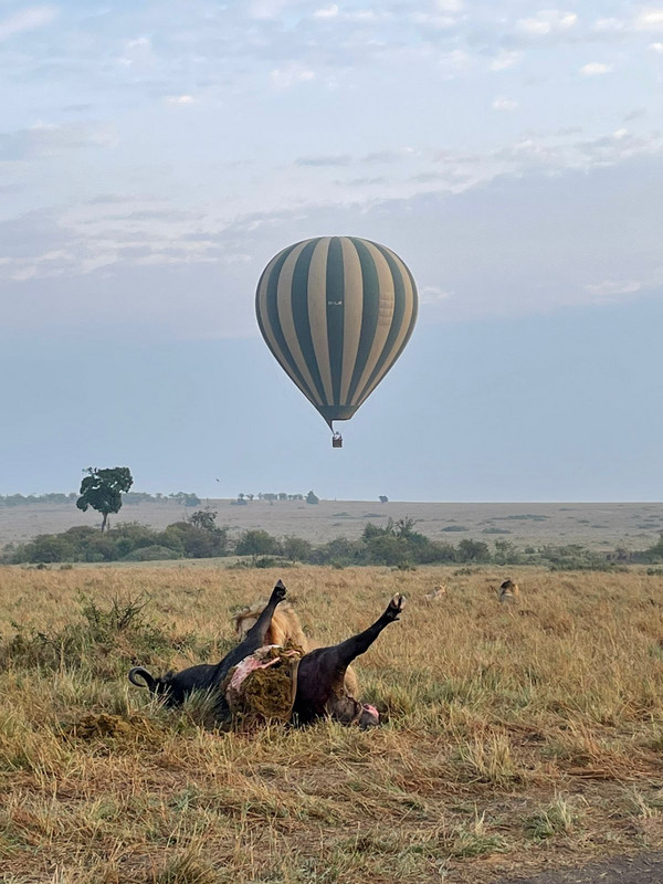 YHA Kenya Travel Active Adventure Epic Tours Safaris, Epic Hot Air Balloon,Epic Adventures Hot Air Balloon in Kenya, Balloon Ride, Balloon Safari, Balloon Safaris, Balloon Safaris in Kenya,Epic Adventures in Kenya, Acti (5).