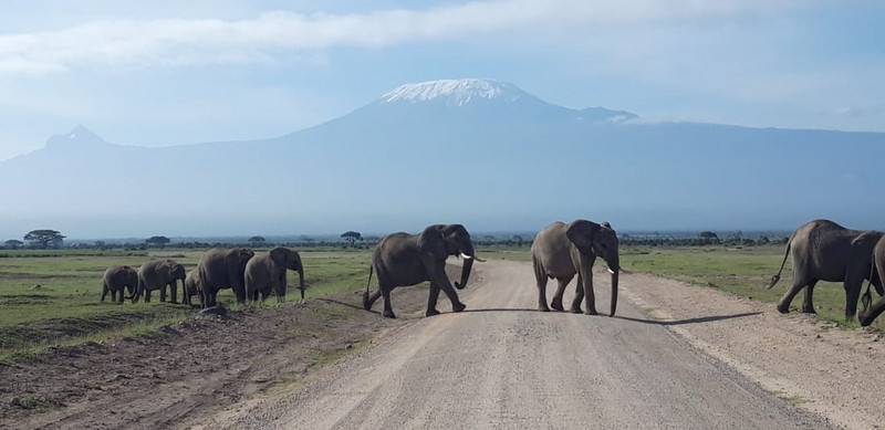 YHA Kenya Travel, Tours, Safaris, Epic Tours Safaris, Safari Bookings, Active Adventures, Amboseli Safaris Tours, Amboseli National Park, Amboseli Wildlife, Travel Guide, Travelling to Amboseli, Mount Kilimanjaro Views, (2).
