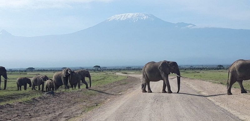 YHA Kenya Travel, Tours, Safaris, Epic Tours Safaris, Safari Bookings, Active Adventures, Amboseli Safaris Tours, Amboseli National Park, Amboseli Wildlife, Travel Guide, Travelling to Amboseli, Mount Kilimanjaro Views, (3).