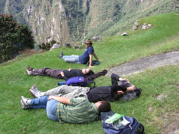 Siesta time at Machu Picchu
