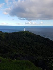 Cape Reinga/Te Reranga Wairua