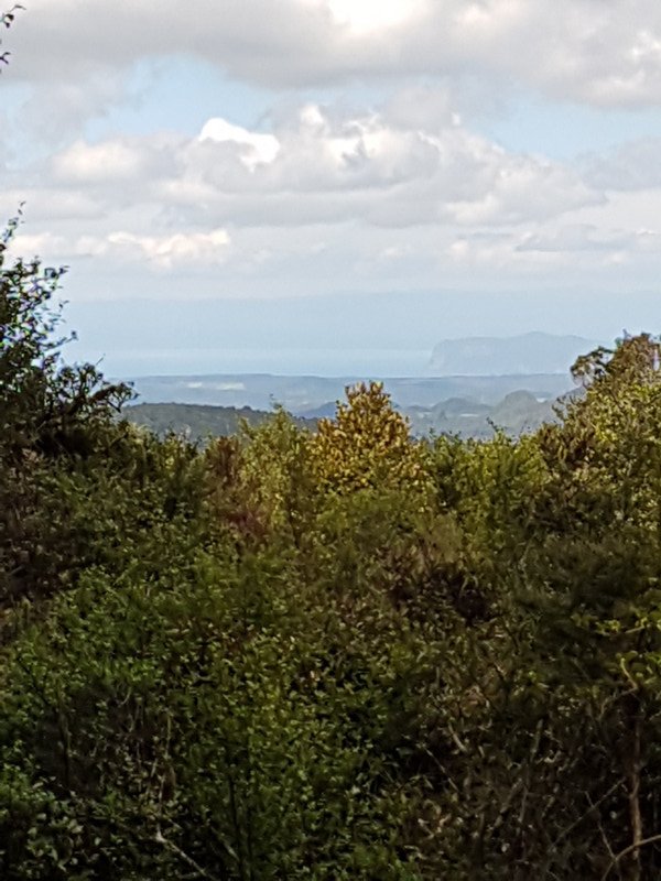 Lake Taupo in the distance. View from the highest point of the trail, Mount Pureora, at 1000 meters