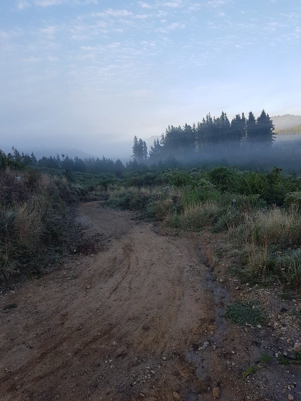 Morning mist at the Timber Trail Lodge