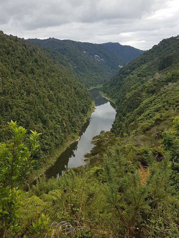 The mighty Whanganui River
