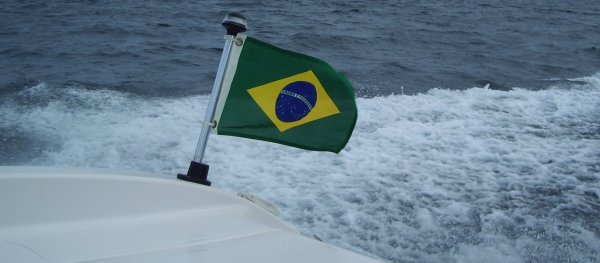 Brazil's Flag