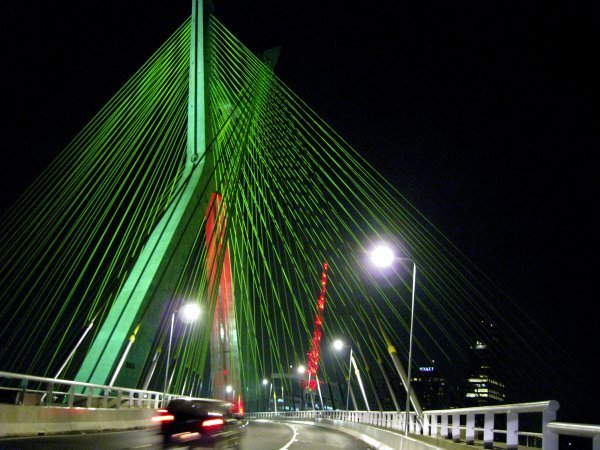 The cable stayed bridge