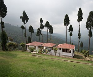 tea estate resorts in darjeeling