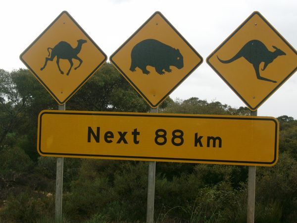 Outback Road signs