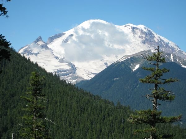 Mt Rainier in Summer!