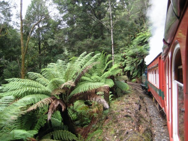 Steaming through the Wilderness
