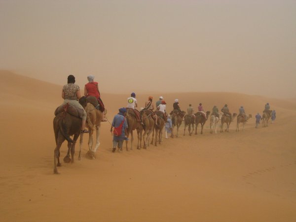 Our highlight a sand storm in the Sahara upon Camel