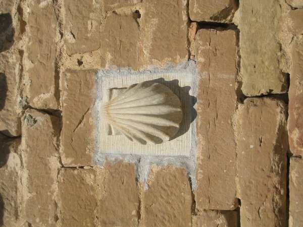Follow the camino shells