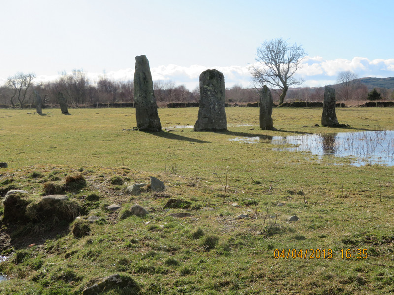 Standing Stones in a paddock with sheep!