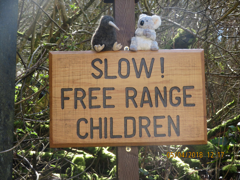 Free Range Children 