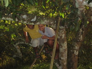 Me and Ritchie climbing trees..