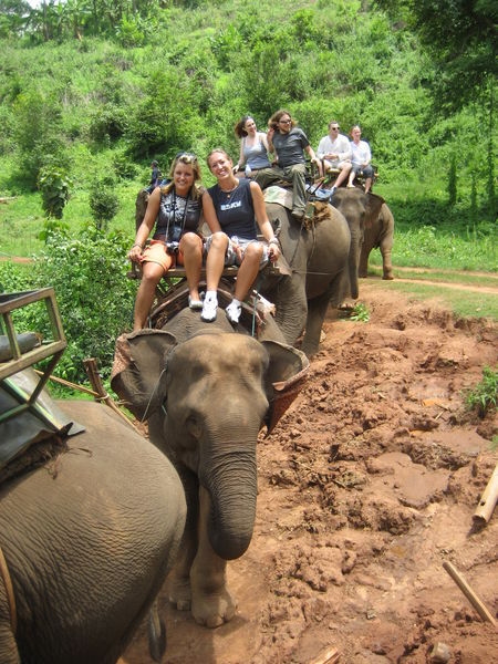 Yep more elephant pictures!!!