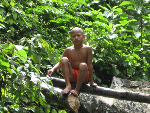 The little monk boy up a tree...