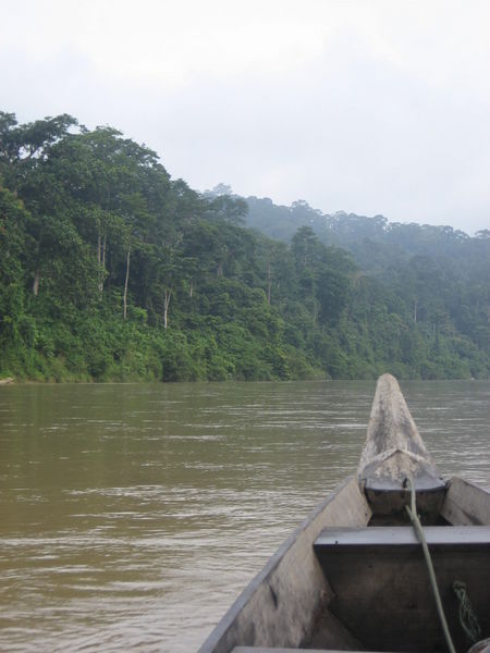 Our 2 hour cruise up the river to start our trek into the deep dark Jungle!!!