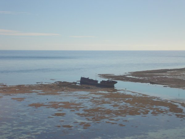The shipwreck at low tide.