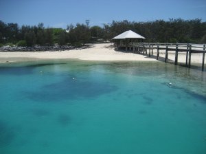 Heron Island - Great Barrier Reef.