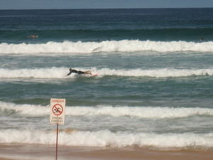 Surfers at Manly Beach...