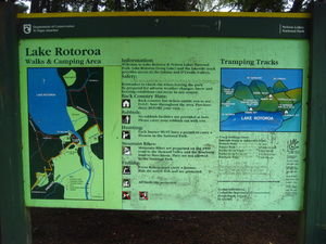Lake Rotoroa..
