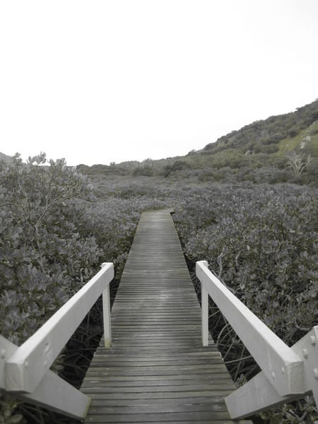 A black and white photo of the boardwalk..