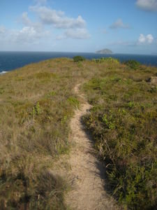 Pathway to the headland lookout.,..